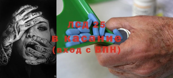стафф Арсеньев