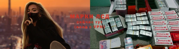 стафф Арсеньев