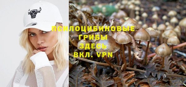 твердый Аркадак