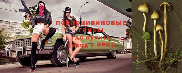 твердый Аркадак