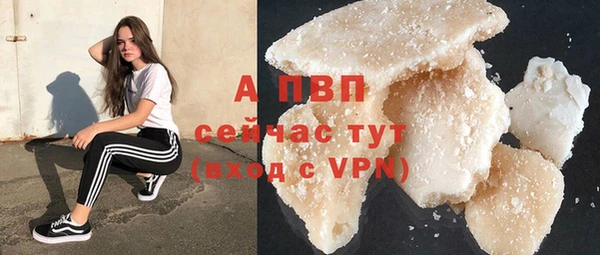 стафф Арсеньев