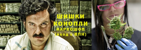 твердый Аркадак