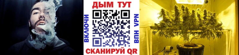 Бошки марихуана планчик  Рыльск 